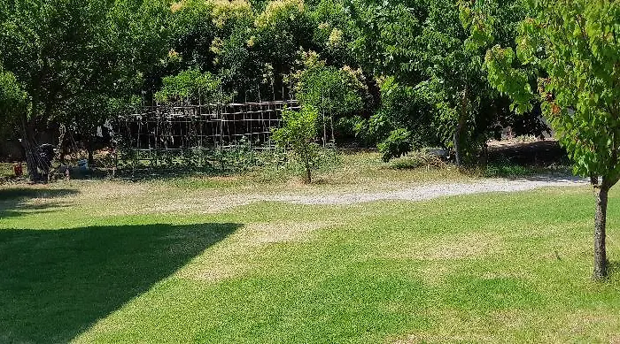 Dream House דירה *